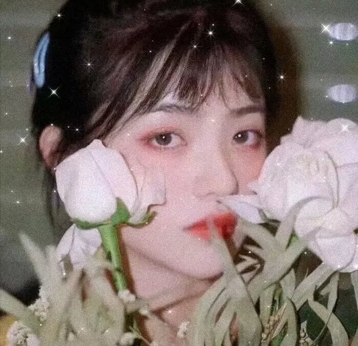 艾洛佛林的冒险