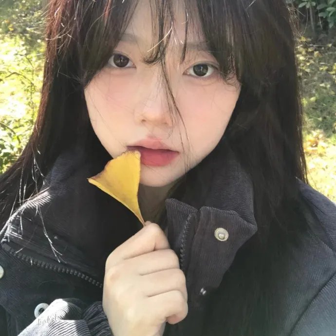 凤皇传